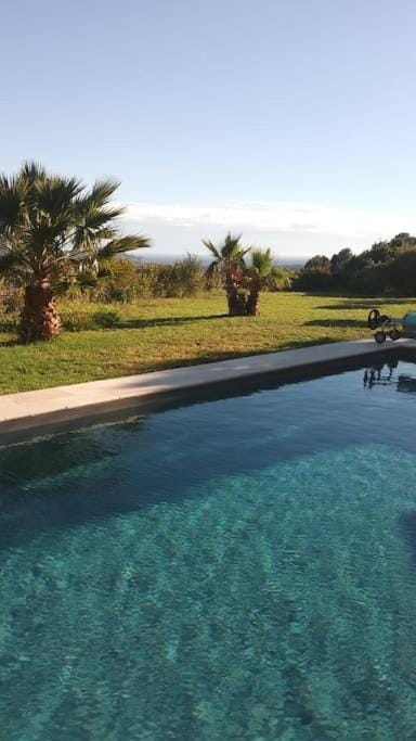 Garden, Pool view