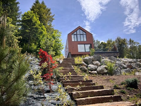 Property building, Spring, Day, Garden, Garden view