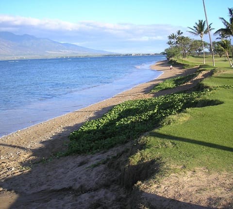 Maui Sunset B423 House in Kihei