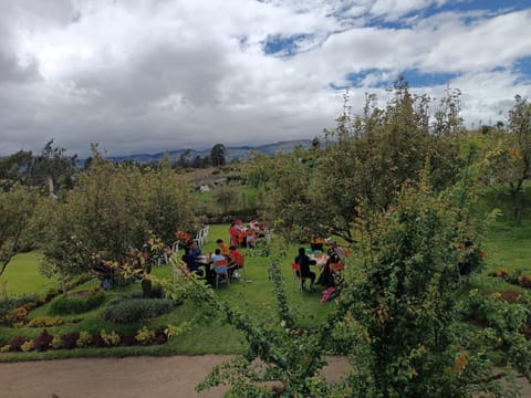 Patio, People, Garden, On site, Family