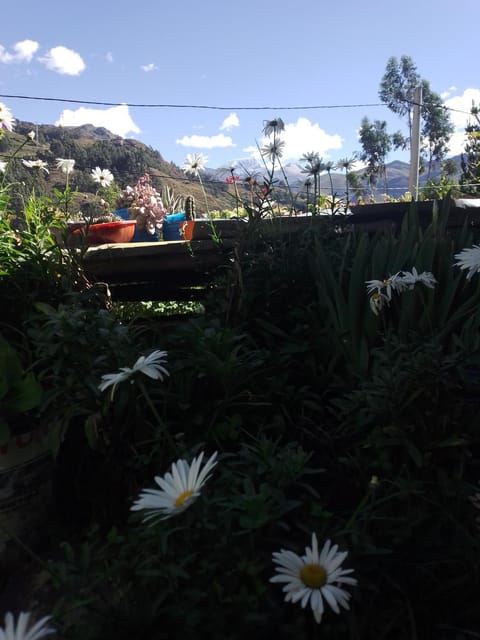 Tina's Mountain House Nature lodge in Ancash, Peru