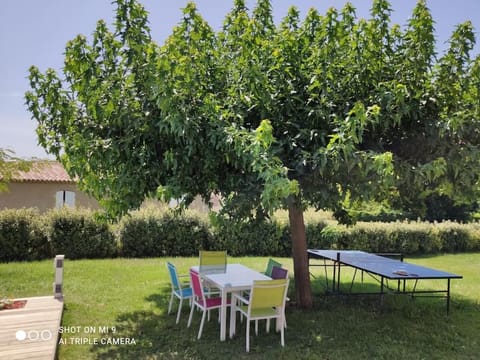 Natural landscape, Garden, Dining area, Garden view