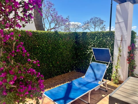 Garden view, sunbed