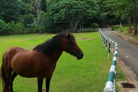 Lakma Holidays Hotel in Western Province