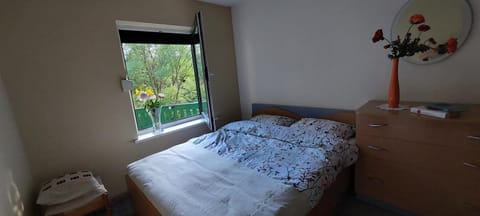 Žalioji vila Vacation rental in Kaliningrad Oblast, Russia