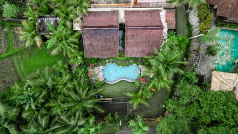 Day, Garden view, Pool view, Swimming pool