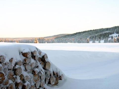 Natural landscape, Winter, Mountain view