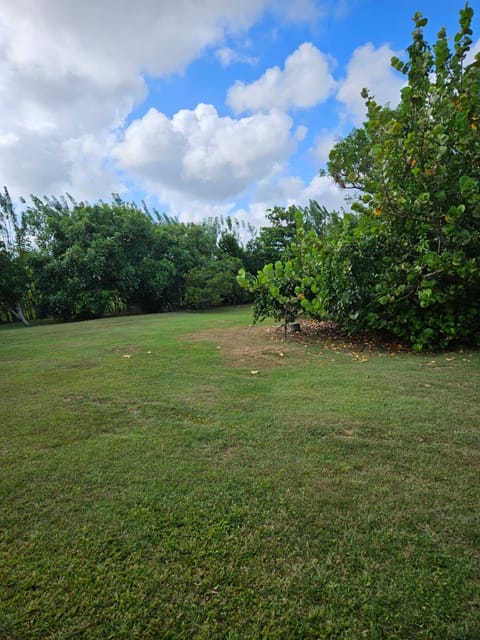 Garden, Garden view