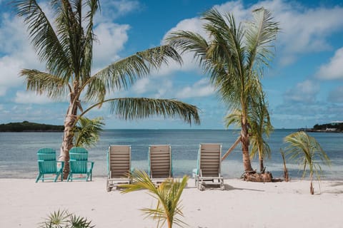 Day, Natural landscape, Beach, Sea view, sunbed