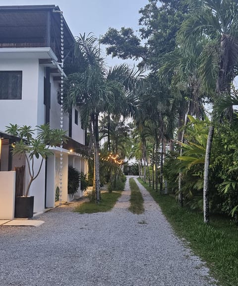 Property building, Neighbourhood, Street view