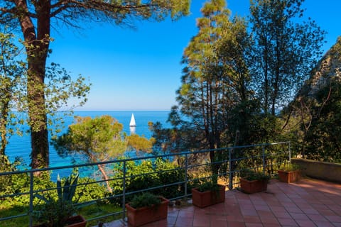 Natural landscape, View (from property/room), Balcony/Terrace, Sea view