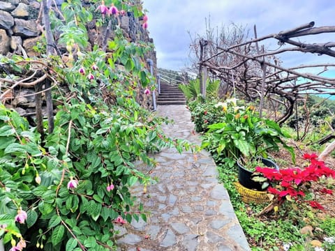 Garden, Garden view