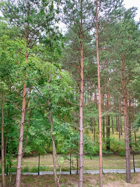 Domy Leśne Szumy na Roztoczu Villa in Lviv Oblast