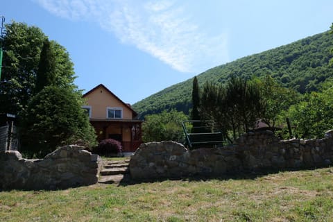 Casa de langa cris din Bulz House in Cluj County