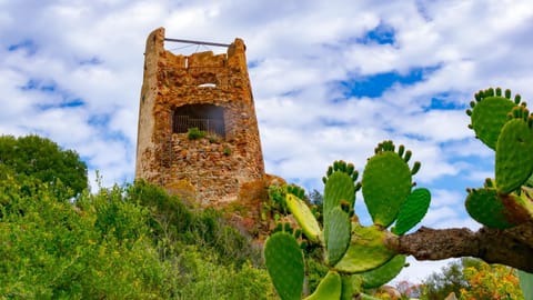 Nearby landmark, Natural landscape