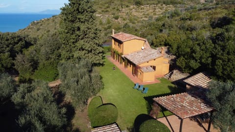 Property building, Bird's eye view