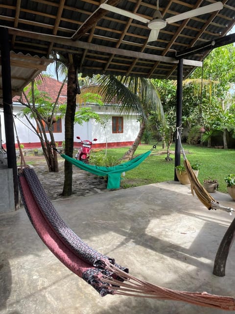 Patio, Garden, Garden view