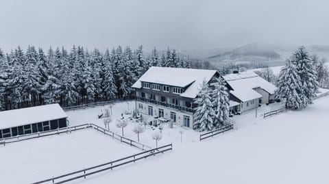 Property building, Natural landscape, Winter