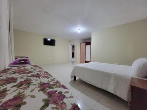 Sarah suite 2 Apartment in Montego Bay