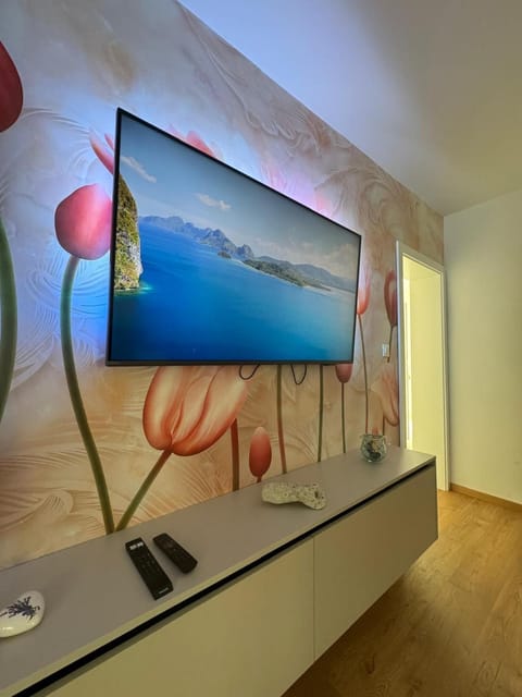 TV and multimedia