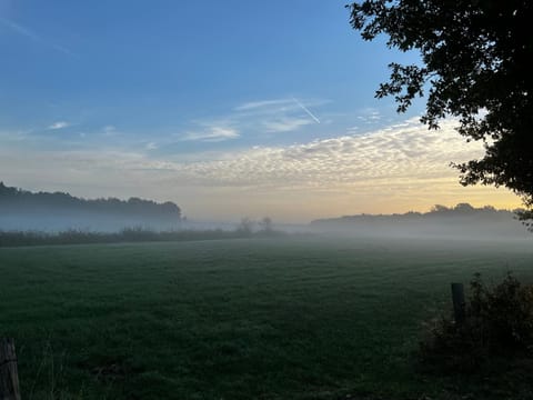 Natural landscape, Sunrise