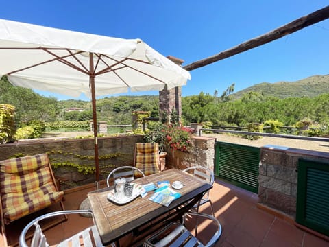 Patio, Day, Garden view