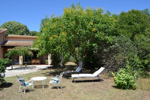 Garden, Garden view, sunbed