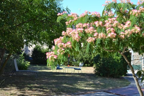 Patio, Garden view