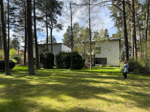 Garden, Garden, Garden view