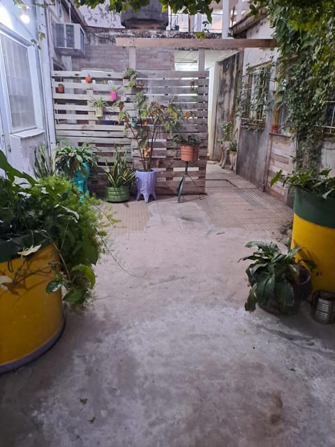 Patio, Garden, Garden view