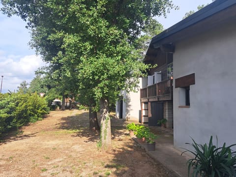 Property building, Garden view