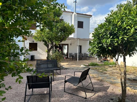 Patio, Garden, Garden view