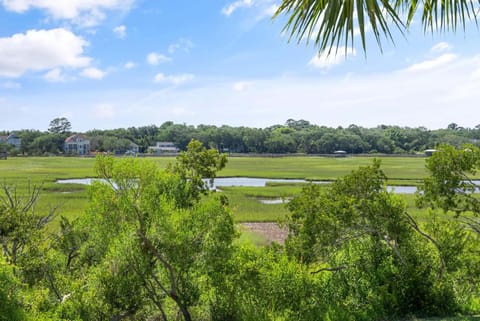 Golden Marsh - 1708 Ocean Road House in Saint Simons Island