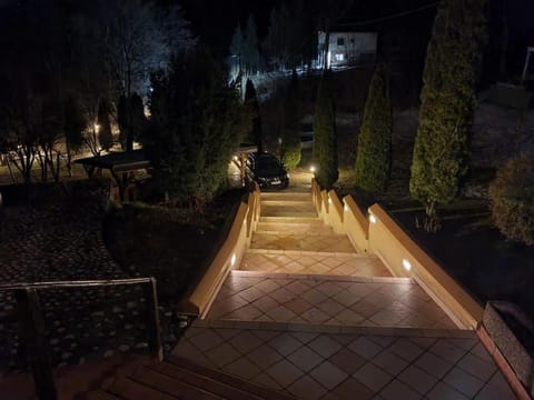 luxurious 350 m villa with 4 bedrooms Villa in Sarajevo