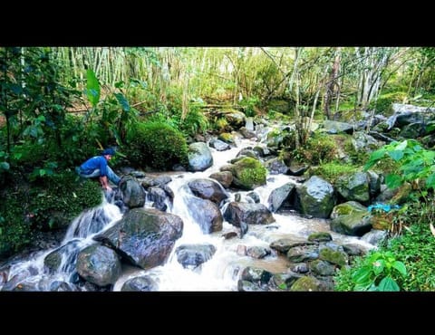 Natural landscape, River view