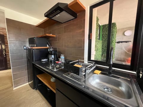 Kitchen or kitchenette, minibar, stove