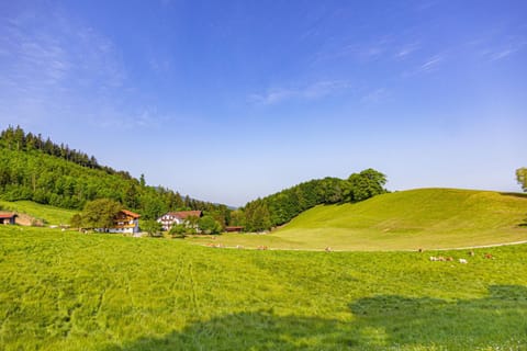 Wieserhof Farm Stay in Aschau im Chiemgau