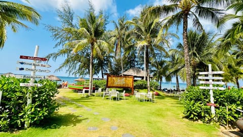 Spring, Day, Beach