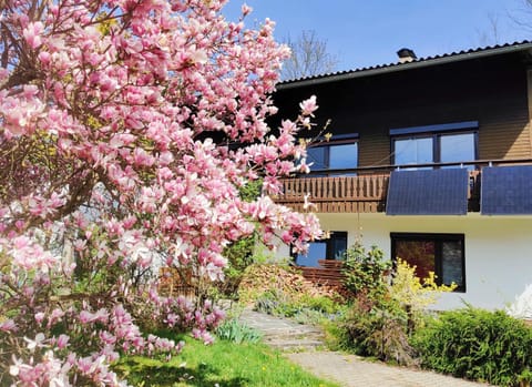 Property building, Garden, Garden view