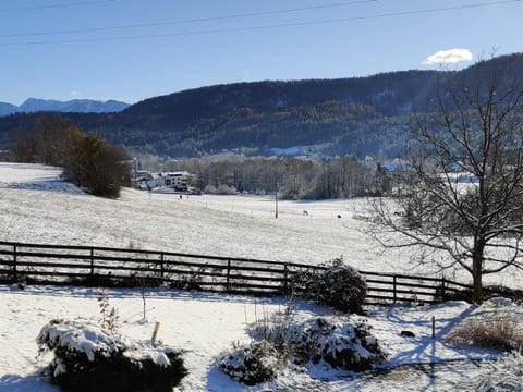 Wellness Apartment Keutschach Lakes Valley Apartment in Klagenfurt