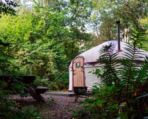 Woodland Yurt at Kingsmead Terrain de camping /
station de camping-car in Wellington