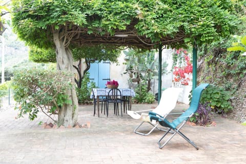 Patio, Spring, Day, Garden, Dining area, Garden view