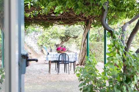 Patio, Spring, Day, People, Garden, Dining area, Garden view, group of guests