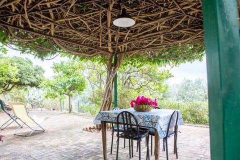 Patio, Spring, Day, Garden, Dining area, Garden view