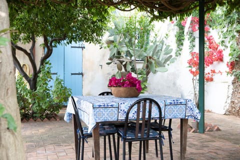 Patio, Spring, Day, Garden, Dining area, Garden view