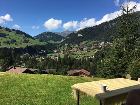 Apartment Shalom by Interhome Apartment in Adelboden