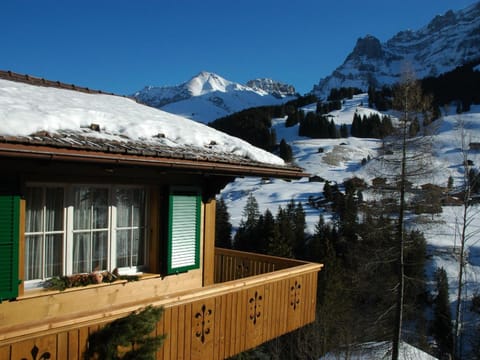 Apartment Bärgchutzli 1- Stock by Interhome Apartment in Adelboden