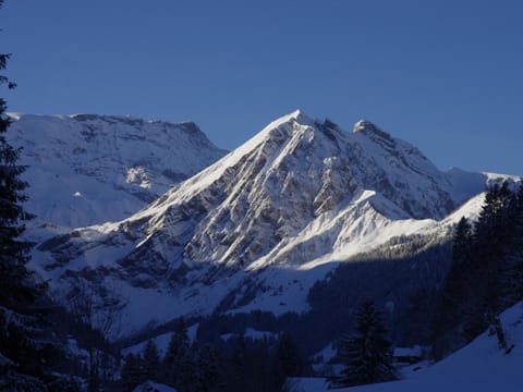 Apartment Anno Domini by Interhome Apartment in Adelboden