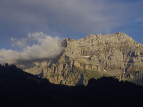 Apartment Anno Domini by Interhome Apartment in Adelboden