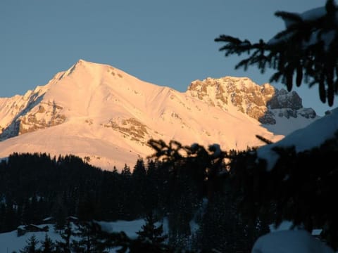Apartment Bärgchutzli Parterre by Interhome Apartment in Adelboden